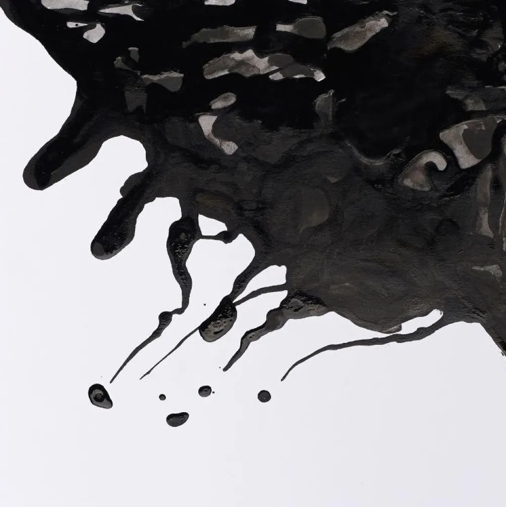 Winsor & Newton Tusz rysunkowy - - black, 30 ml > Tusze Rysunkowe