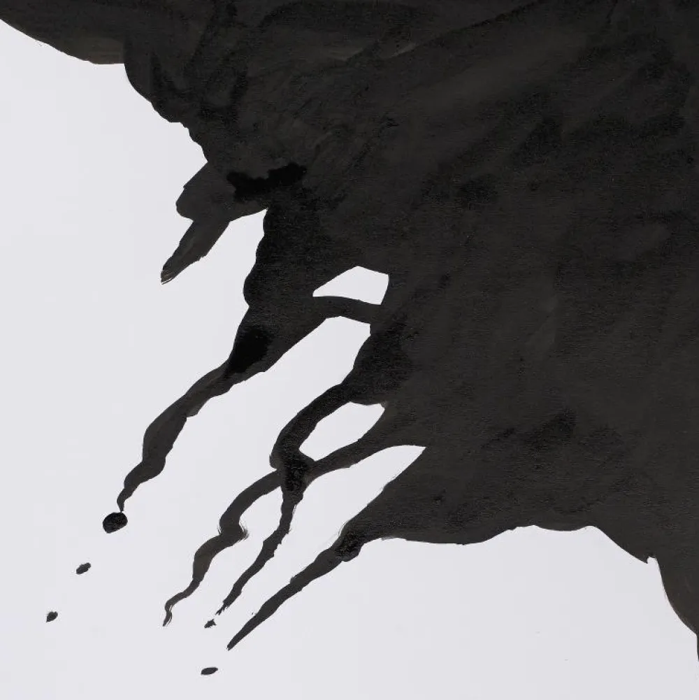 Winsor & Newton Tusz rysunkowy - - liquid indian ink, 30 ml