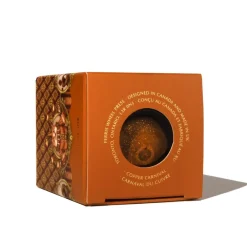 Ferris Wheel Press Tusz wodoodporny - - Copper Carnival, 28 ml