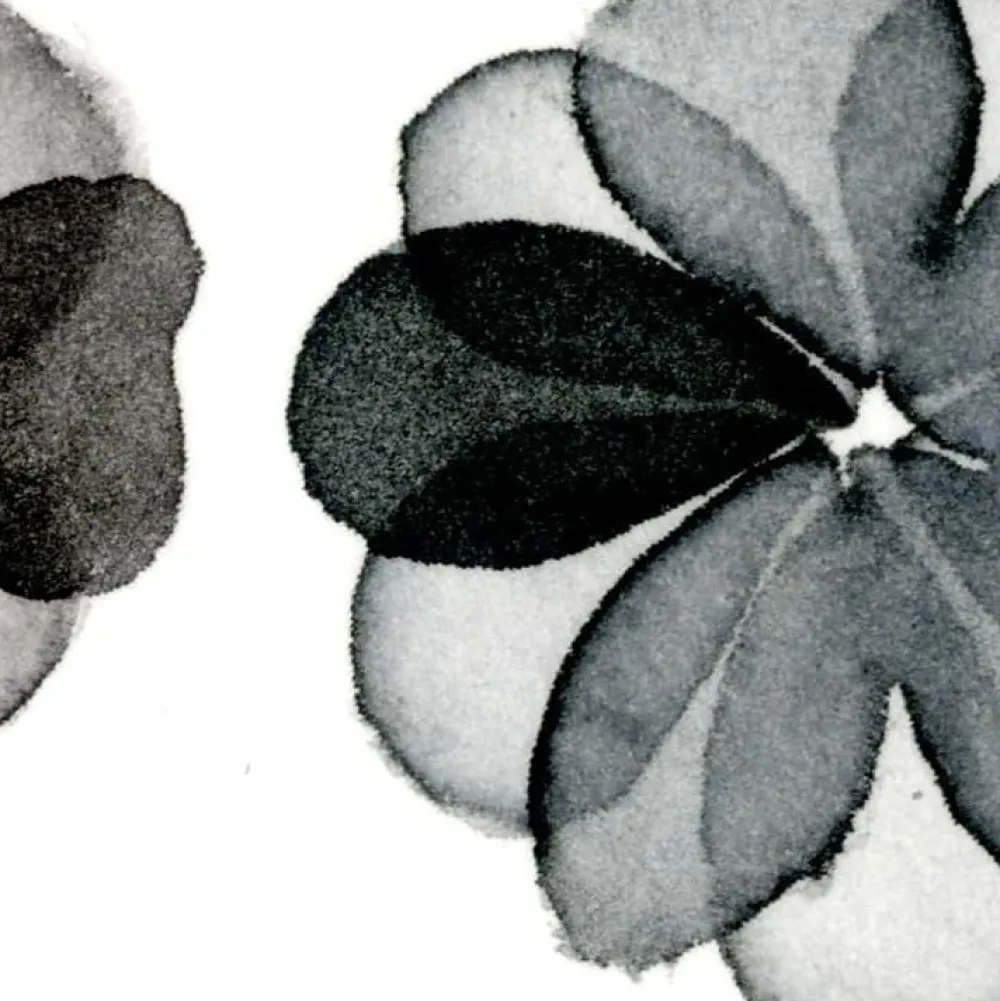 Kuretake Zestaw farb akwarelowych Gansai Tambi Sumi - - 6 kolorów > Farby Akwarelowe