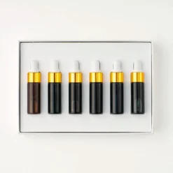 Tom's Studio Zestaw mini atramentów Botanical - - 6 x 5 ml ><noscript><img width=