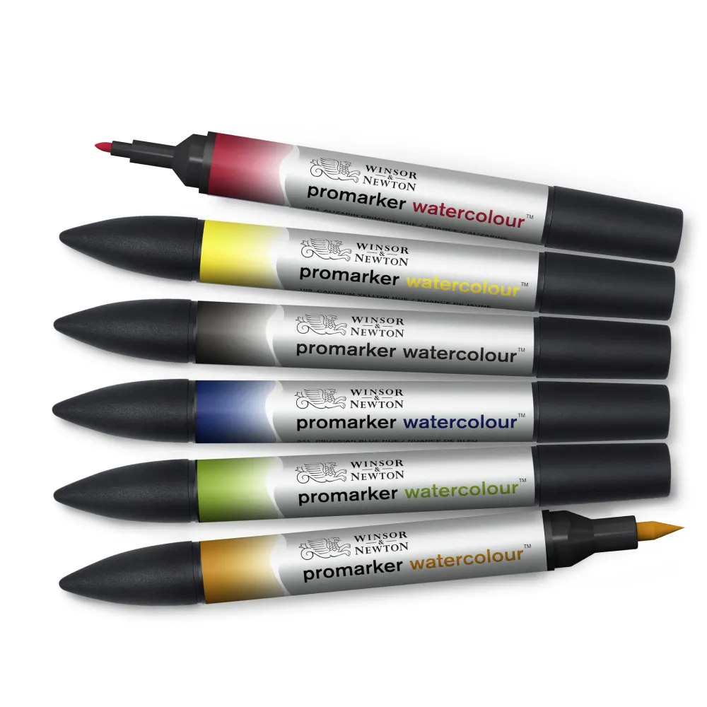 Winsor & Newton Zestaw Promarker Watercolor - - Basic, 6 szt.