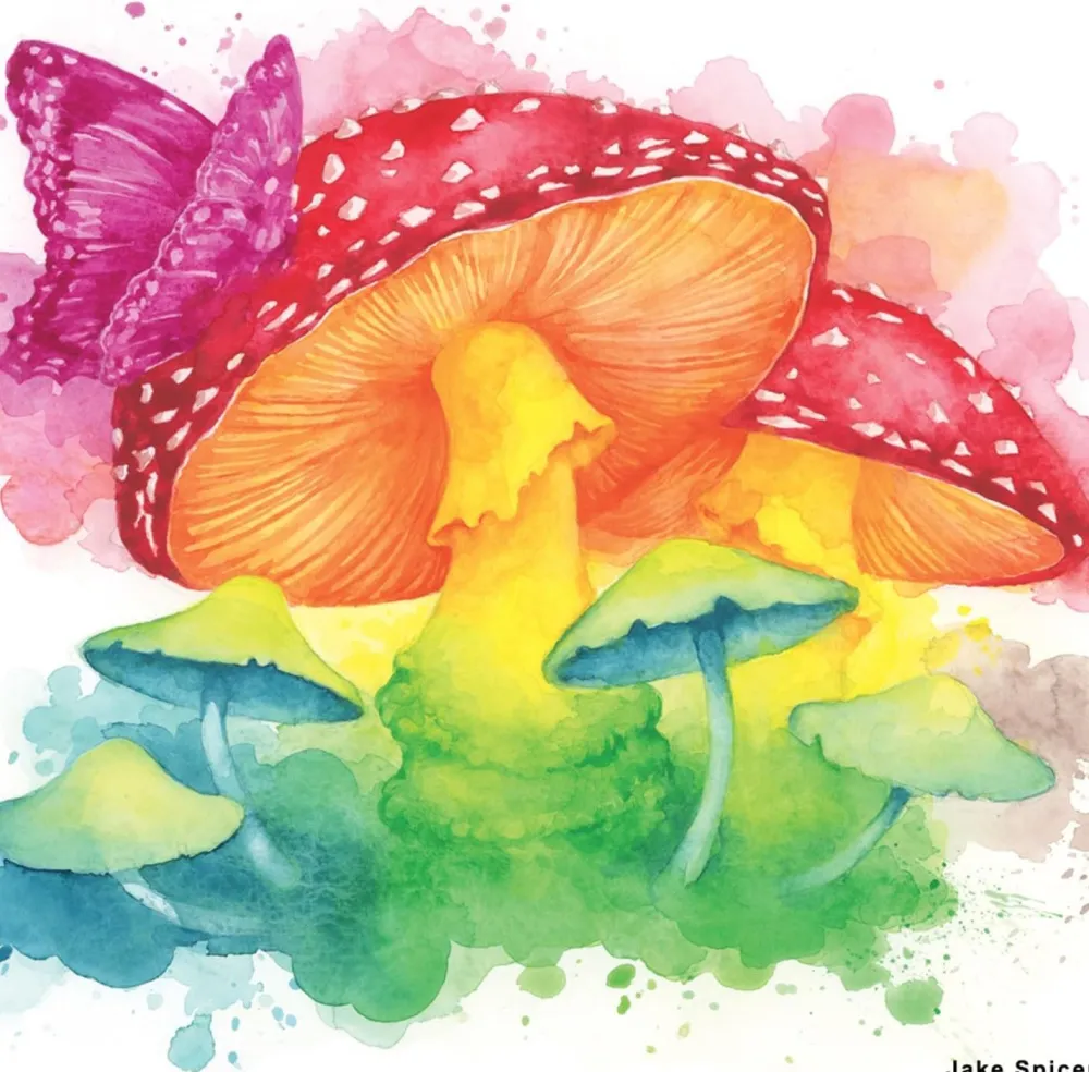 Derwent Zestaw tuszów akwarelowych Inktense w kostkach - - 24 szt. > Farby Akwarelowe