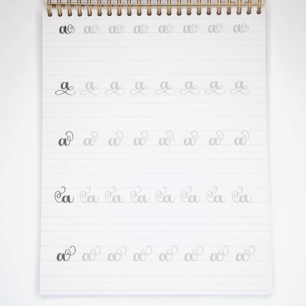 Devangari Zeszyt z ćwiczeniami do brush letteringu Flourishing, B5 - - 170 g/m2 > Podręczniki