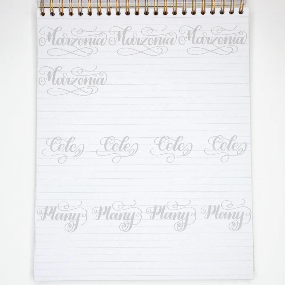 Devangari Zeszyt z ćwiczeniami do brush letteringu Flourishing, B5 - - 170 g/m2 > Podręczniki